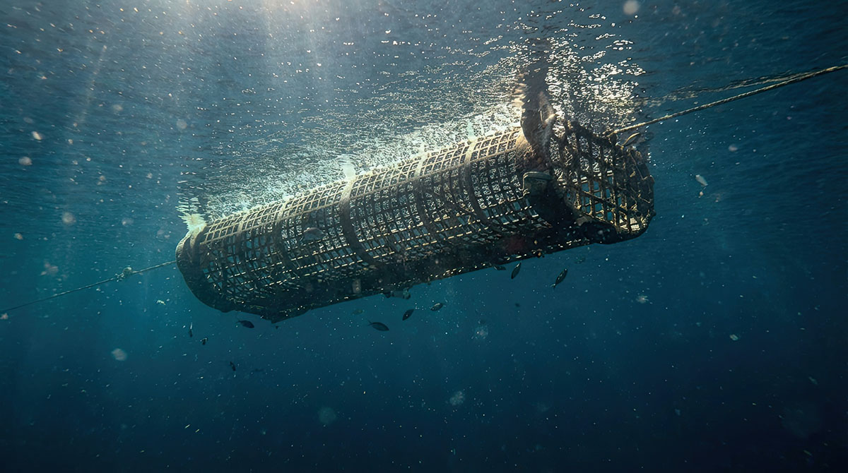 Sea Farm Basket