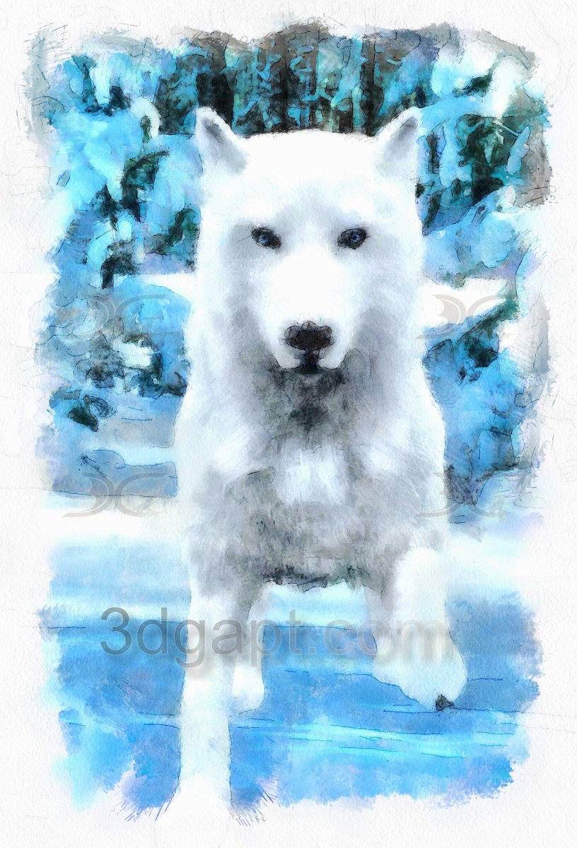 Art Work  Paintings 1