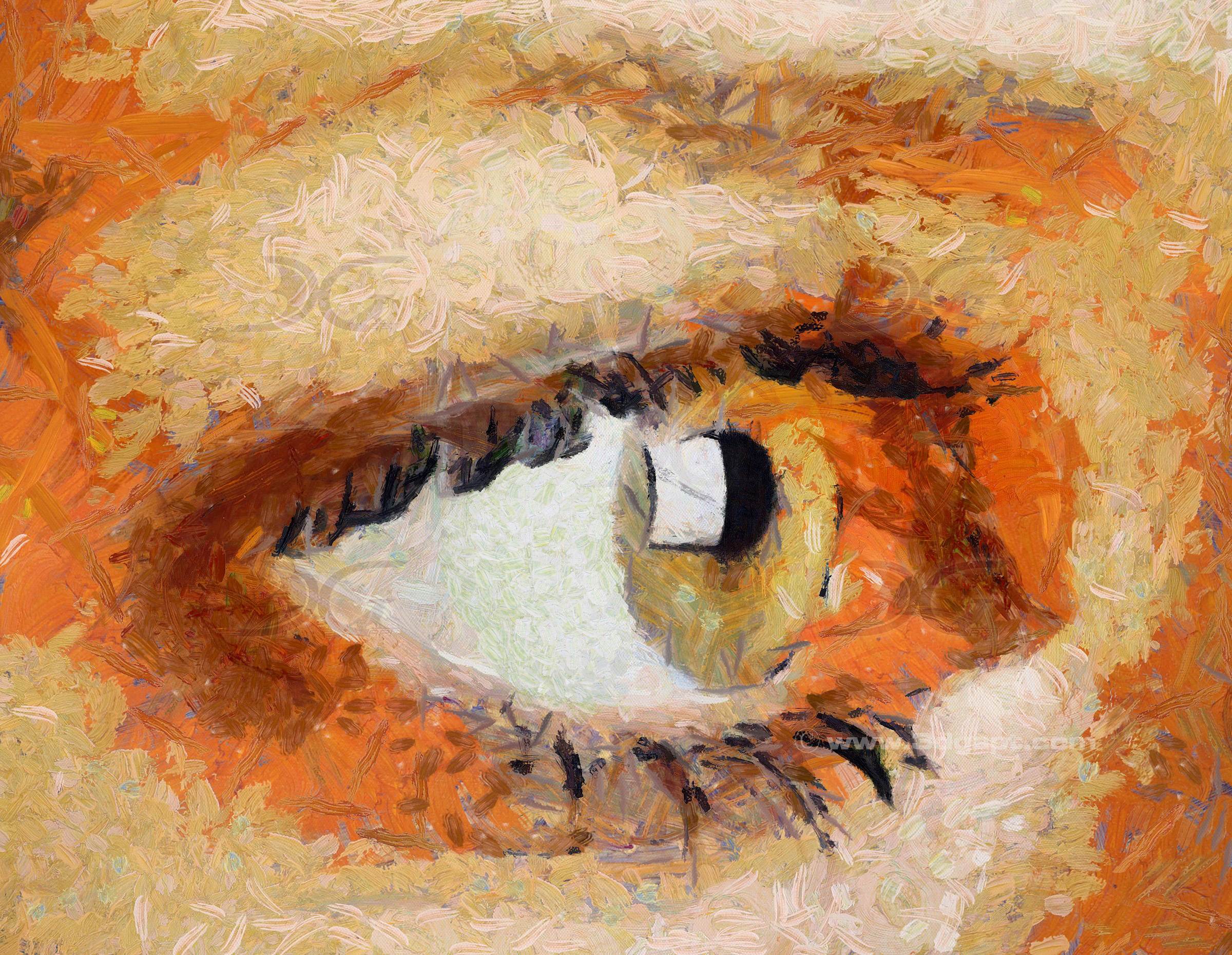Art Work  Paintings 11