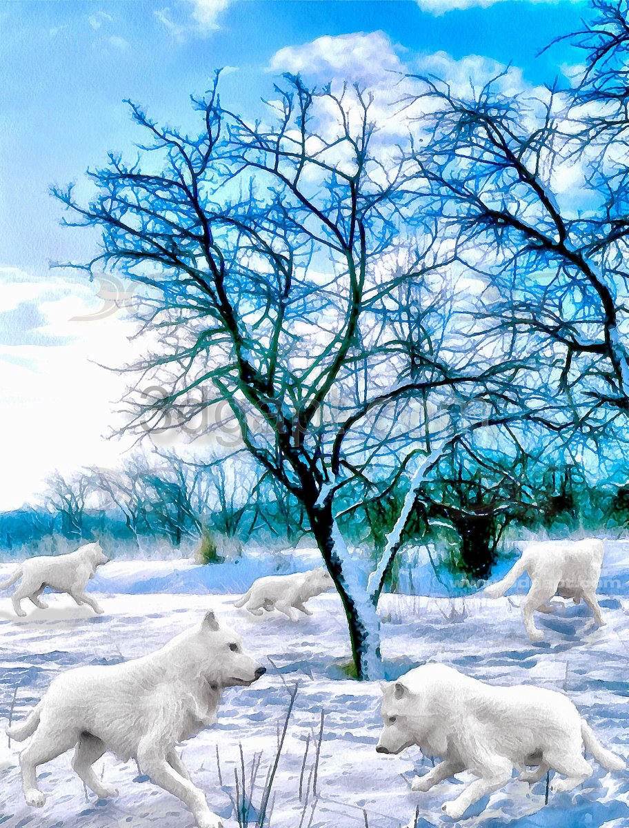 Art Work  Paintings 17